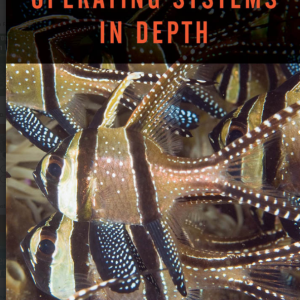 Operating Systems in Depth